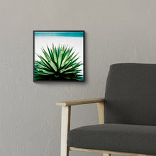 Load image into Gallery viewer, Agave