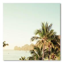 Cargar imagen en el visor de la galería, Cabo San Lucas