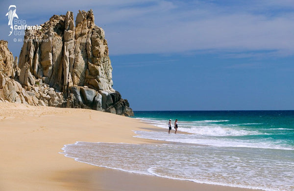 © BVH-20712115 | México/Baja California Sur, Cabo San Lucas