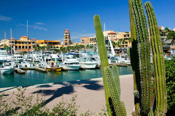 © BVH-20712119 | México/Baja California Sur, Cabo San Lucas