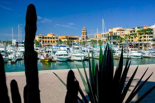 © BVH-20712120 | México/Baja California Sur, Cabo San Lucas