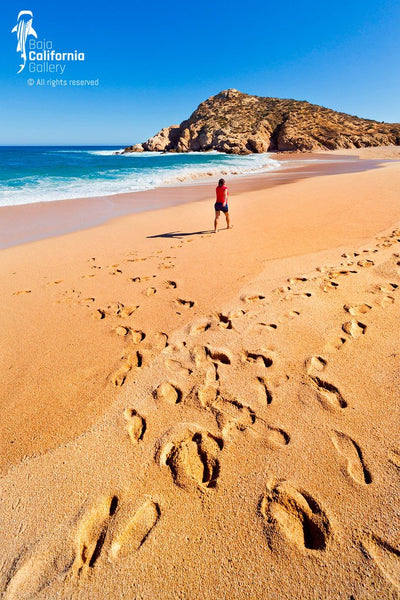 © SIM-426608 | Mexico/Baja California Sur, Cabo San Lucas