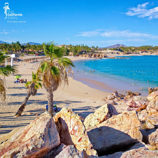 © SIM-426614 | Mexico/Baja California Sur, Cabo San Lucas