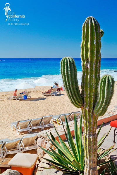 © SIM-426636 | Mexico/Baja California Sur, Cabo San Lucas