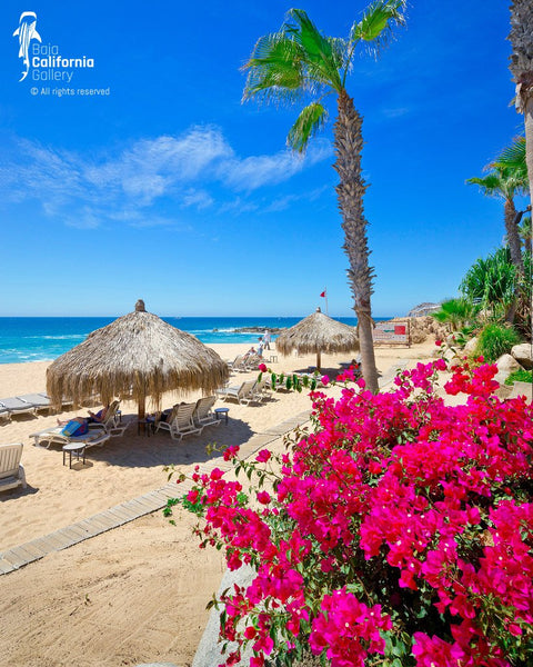 © SIM-426649 | Mexico/Baja California Sur, Cabo San Lucas