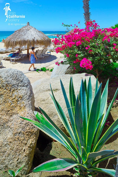 © SIM-426650 | Mexico/Baja California Sur, Cabo San Lucas