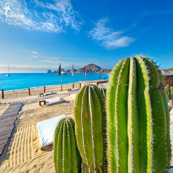 © SIM-426685 | Mexico/Baja California Sur, Cabo San Lucas