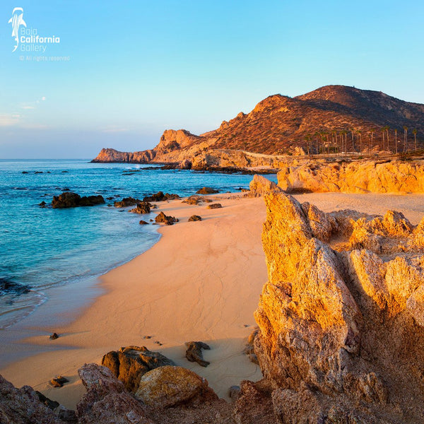 © SIM-426726 | Mexico/Baja California Sur, Cabo San Lucas