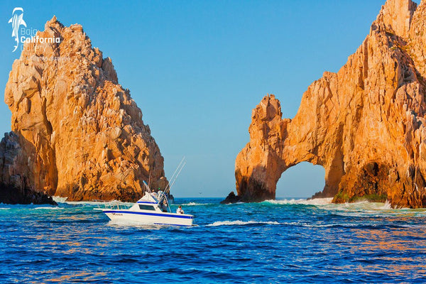 © SIM-426796 | Mexico/Baja California Sur, Cabo San Lucas