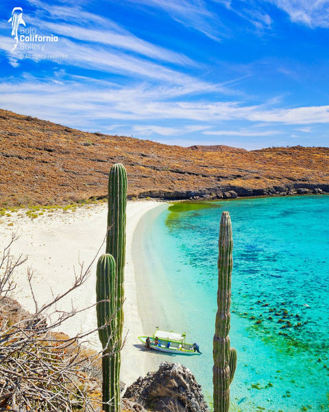 © SIM-426875 | Mexico/Baja California Sur, La Paz