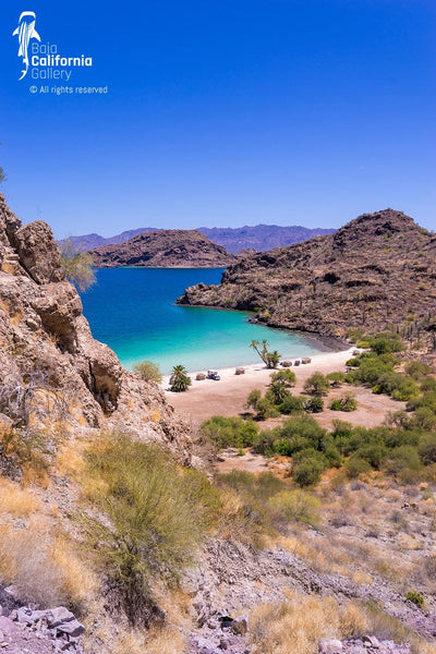 © SIM-490205 | Mexico/Baja California Sur, Loreto