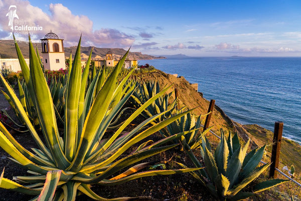 © SIM-490216 | México/Baja California