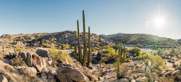 © SIM-490246 | México/Baja California