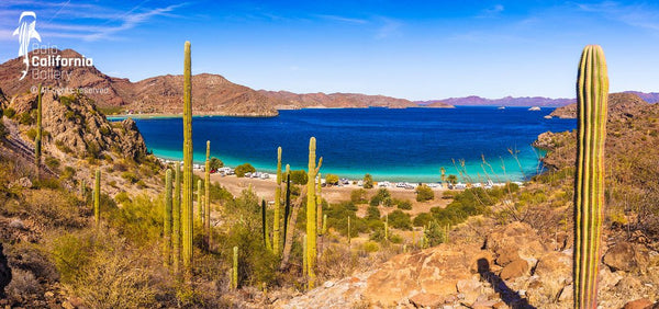 © SIM-512533 ​​| México/Baja California Sur, Loreto