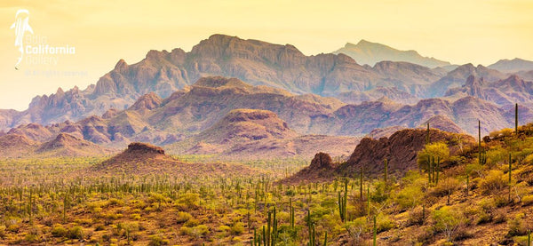 © SIM-512576 | México/Baja California Sur, Loreto